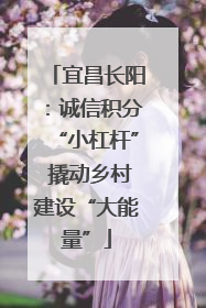 宜昌长阳：诚信积分“小杠杆” 撬动乡村建设“大能量”